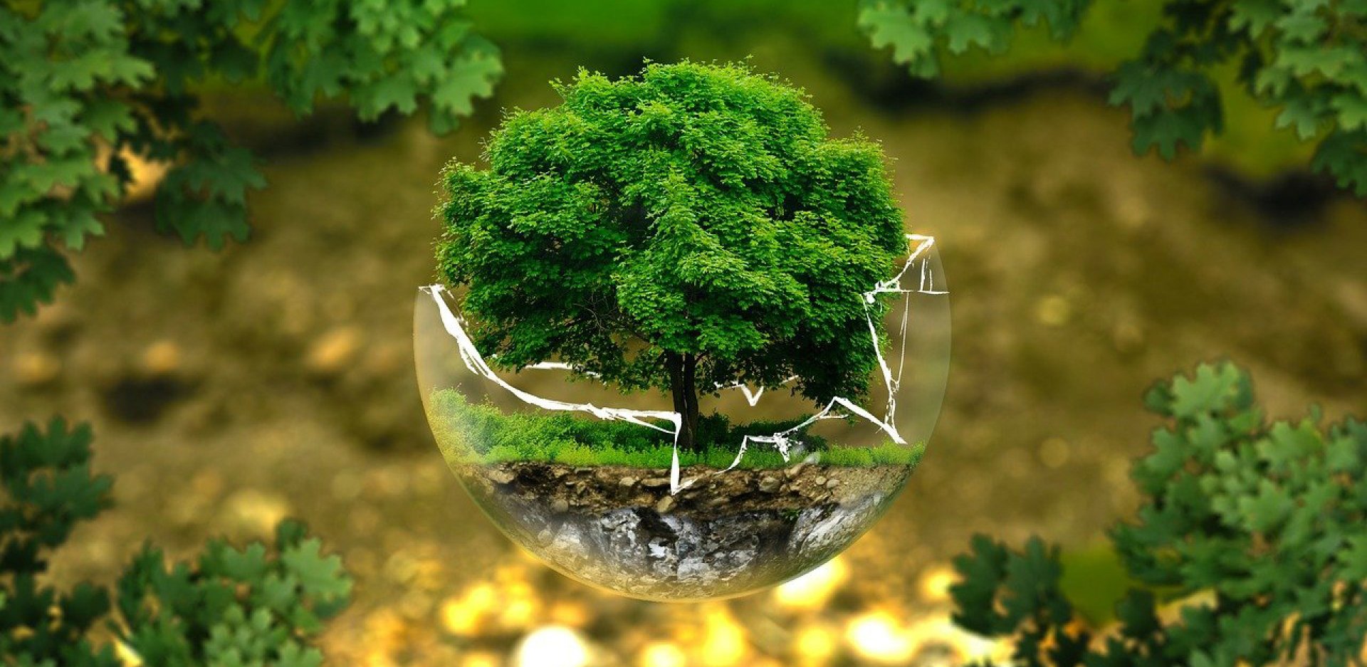 environmental protection